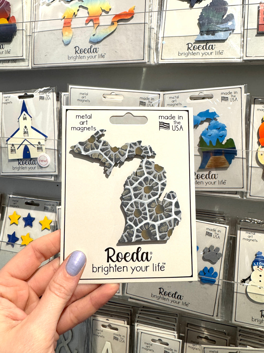 Michigan Petoskey Magnet