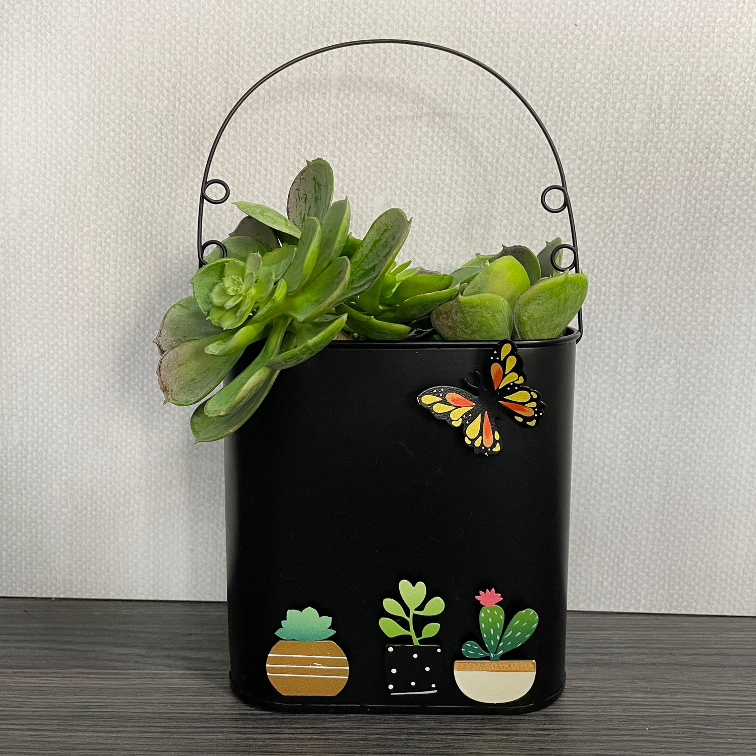 magnetic succulent pots Succulent Magnets – Roeda