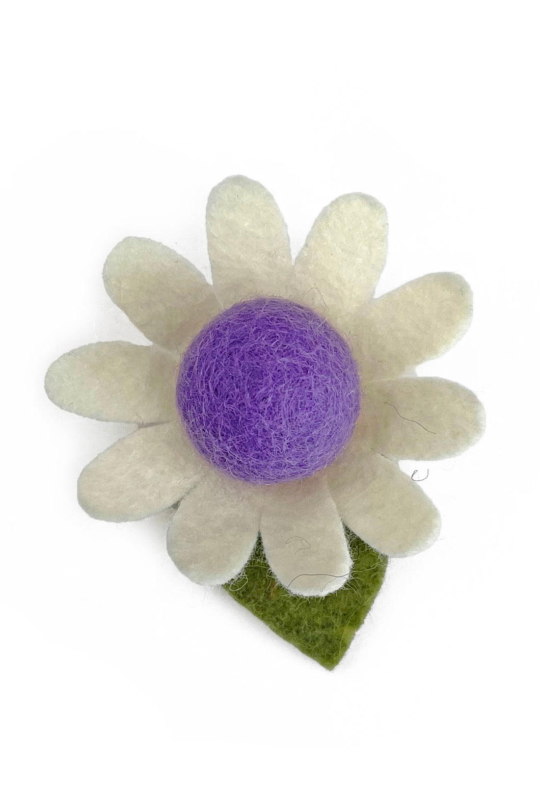 Filzgänseblümchen - Klein