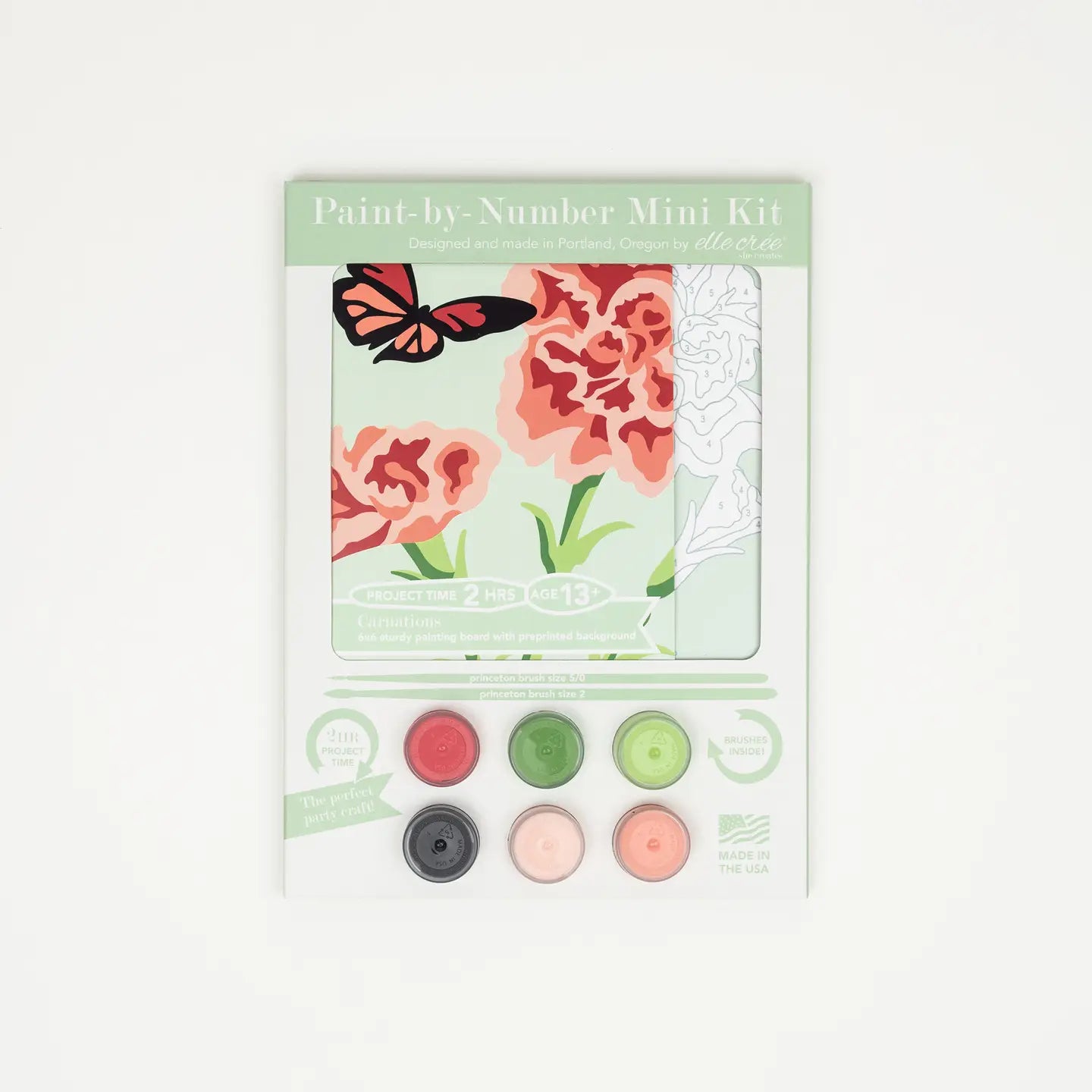 Carnations Mini Paint-By-Number Kit