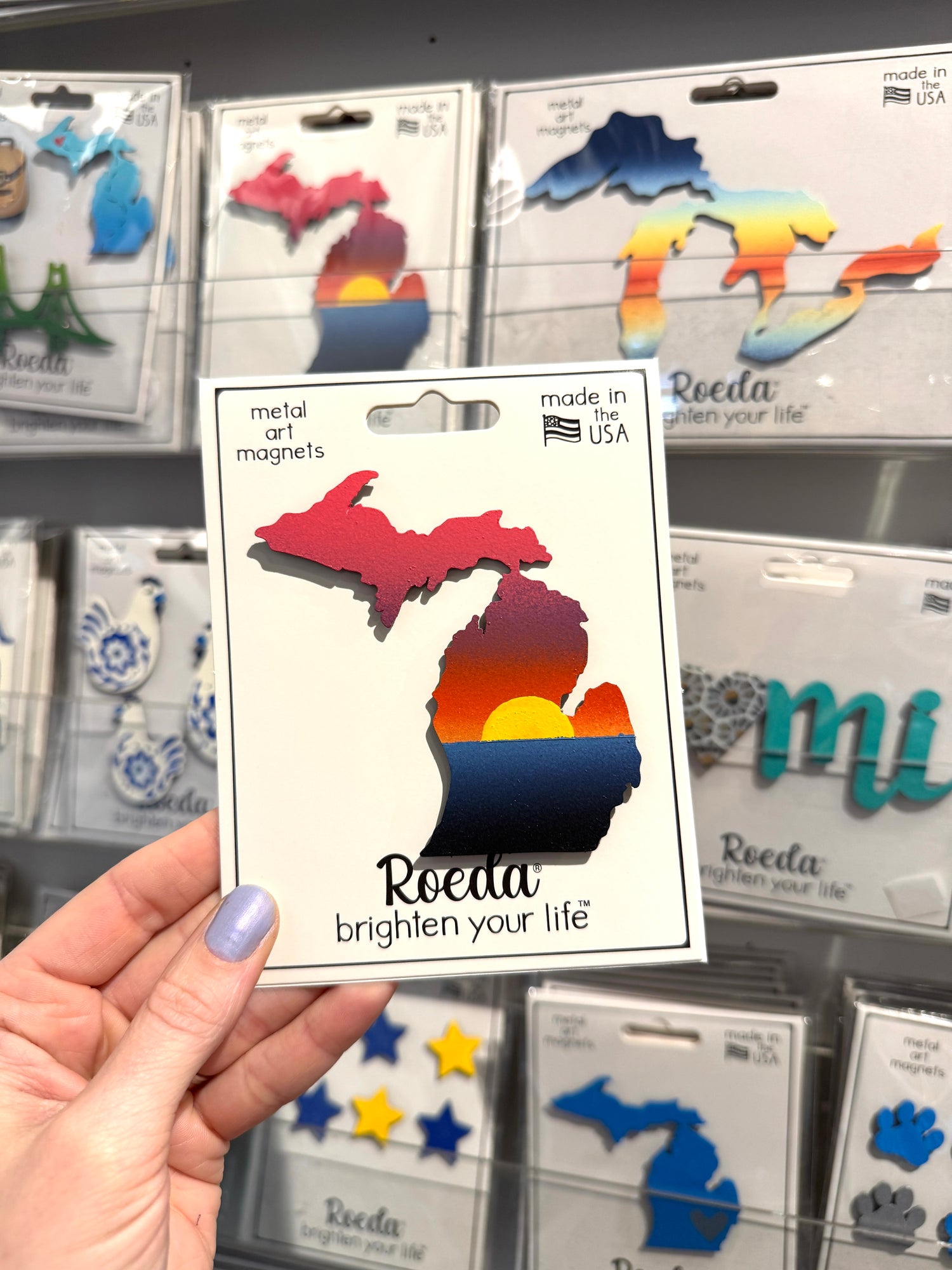 Beach Sunset Michigan Magnet