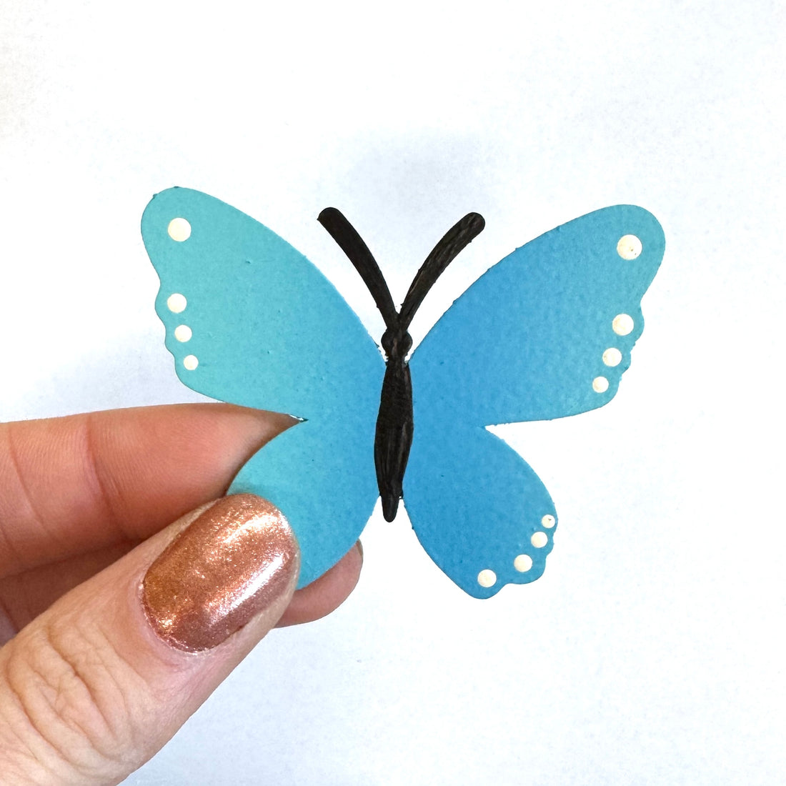 Butterfly Magnet, Single