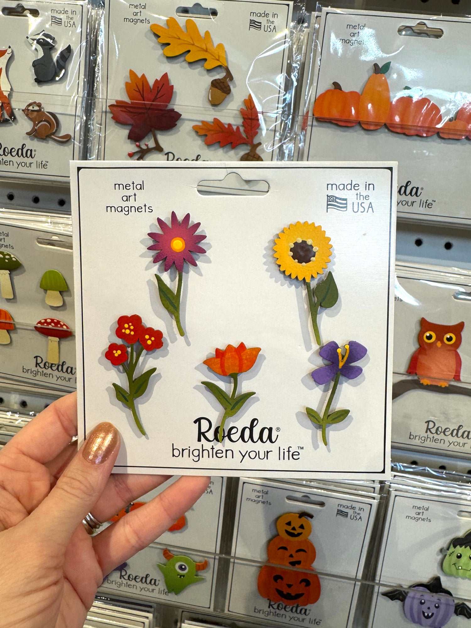 Fall Rainbow Flower Stem Magnets S/5