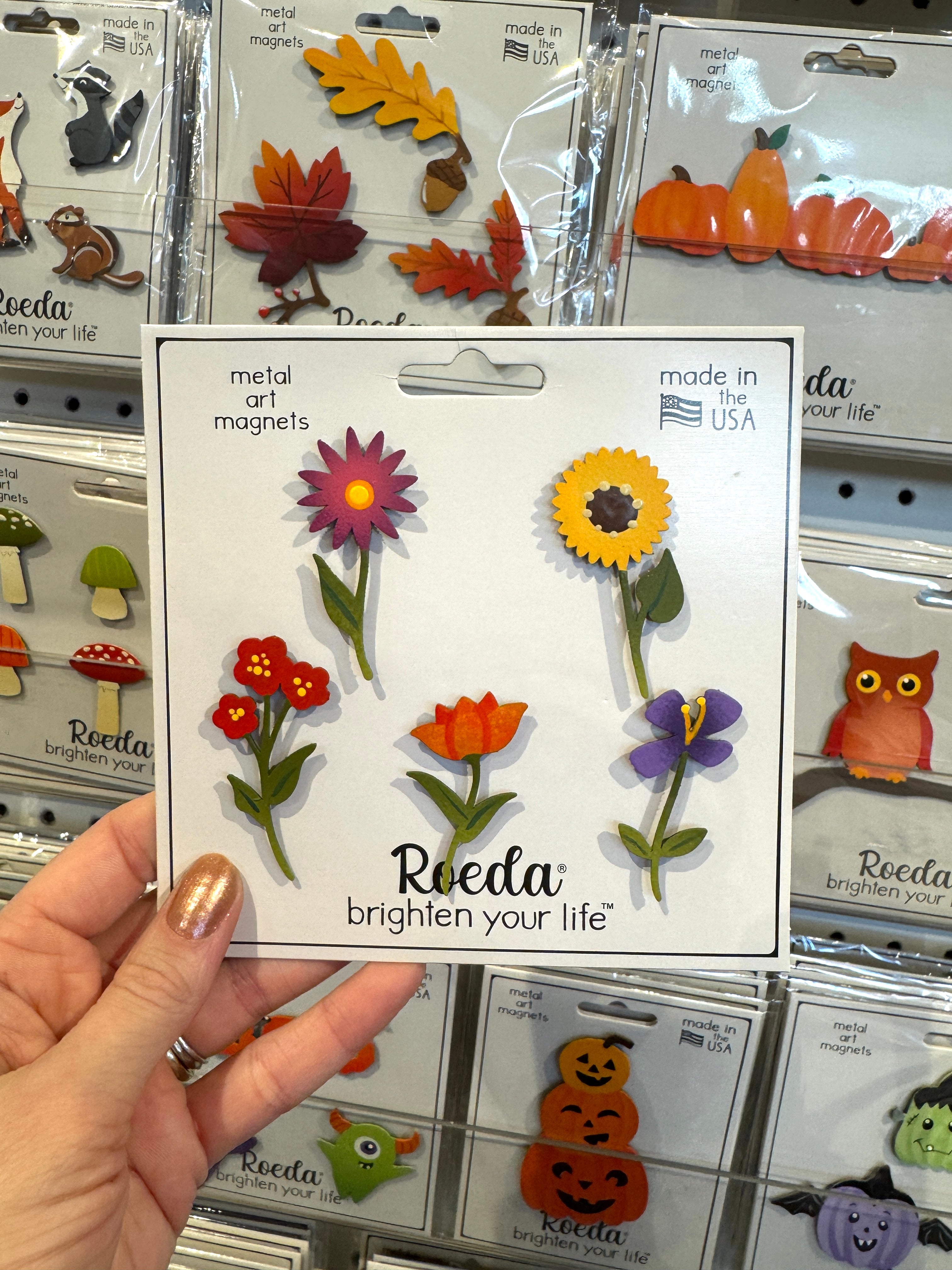 Fall Rainbow Flower Stem Magnets S/5
