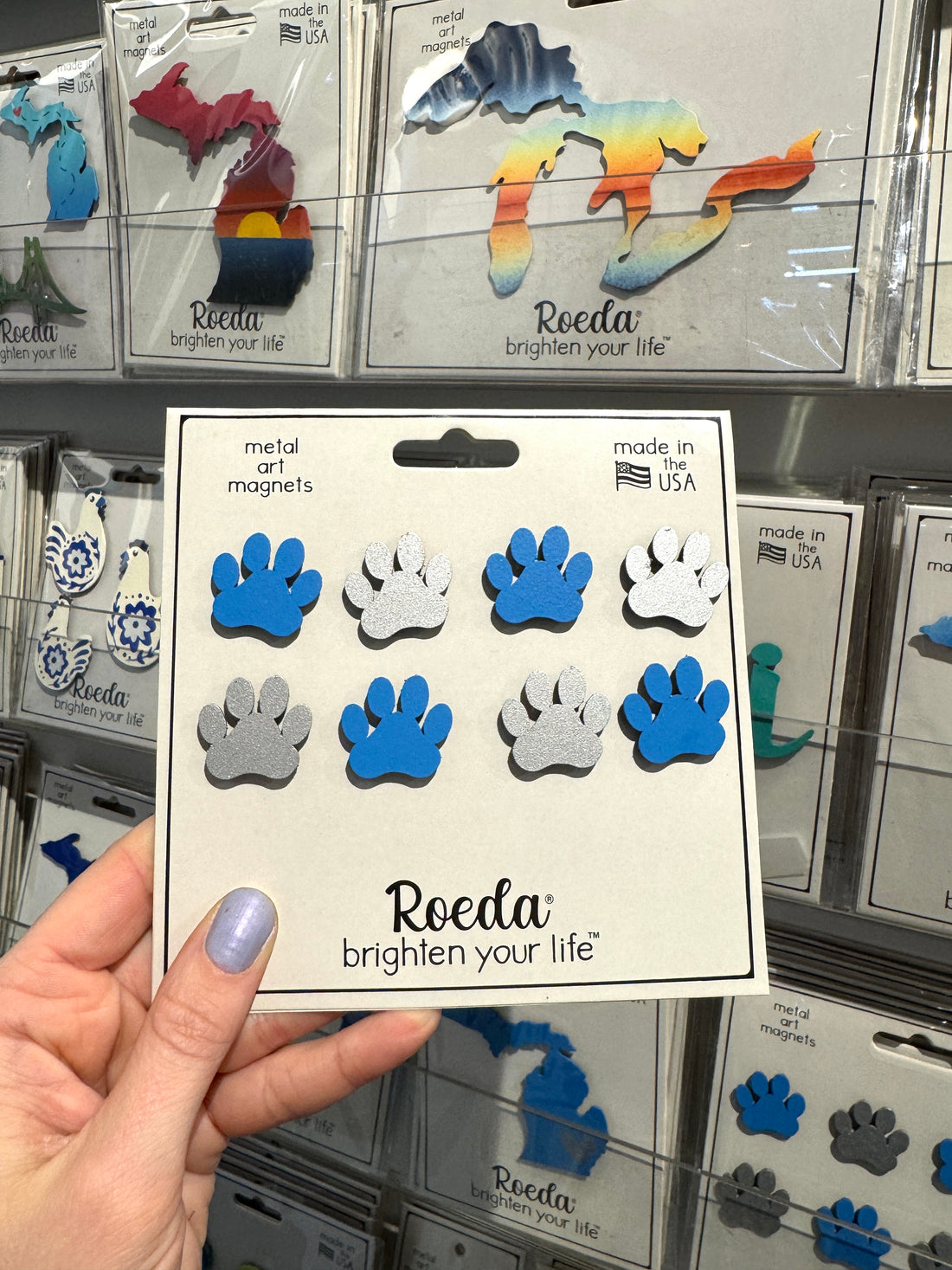 Paw Print Magnets S/8 Blue/Silver
