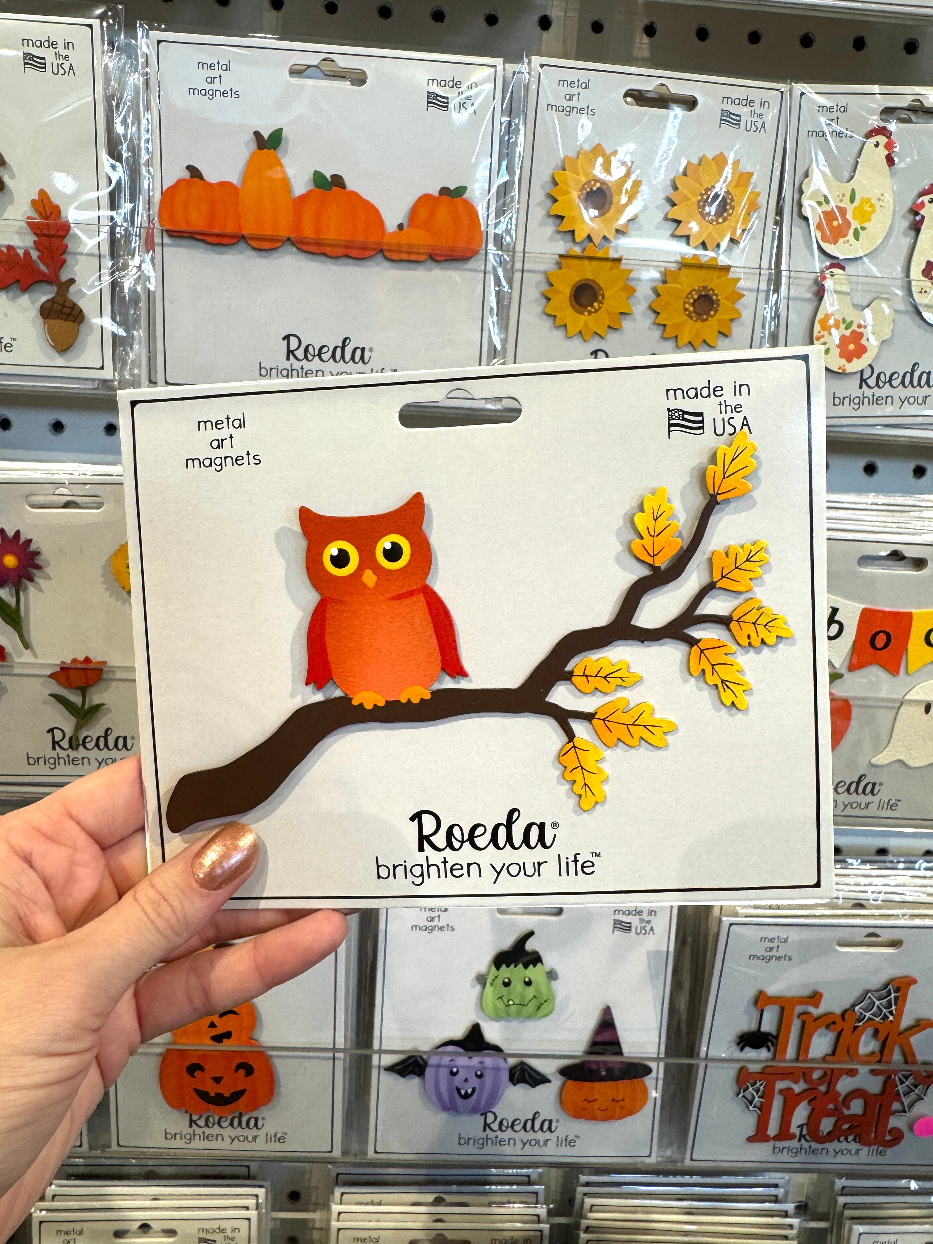 Owl on Fall Branch Magnet