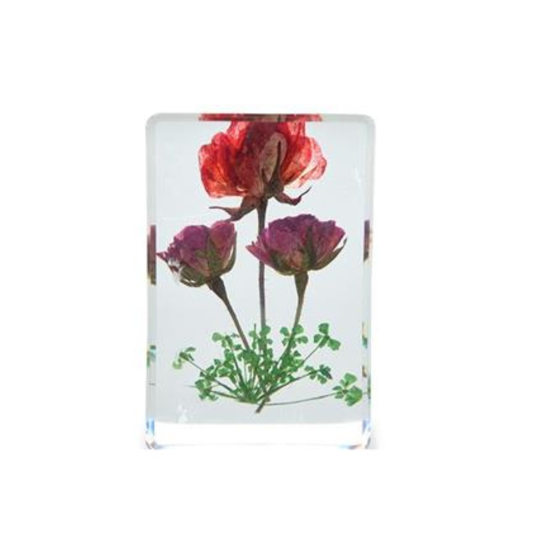 Wildflowers Pressed Floral Keepsake in Gift Box