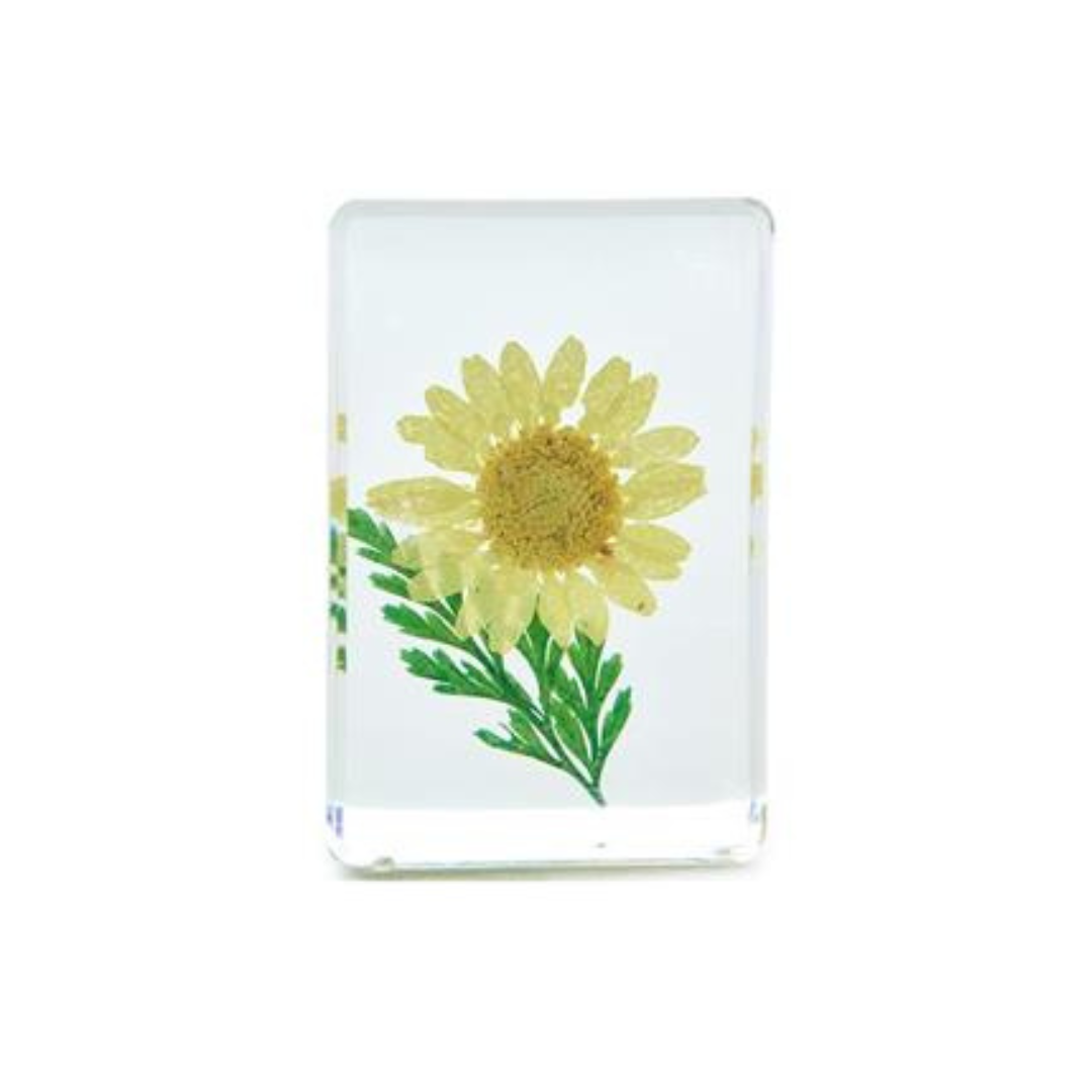 Wildflowers Pressed Floral Keepsake in Gift Box