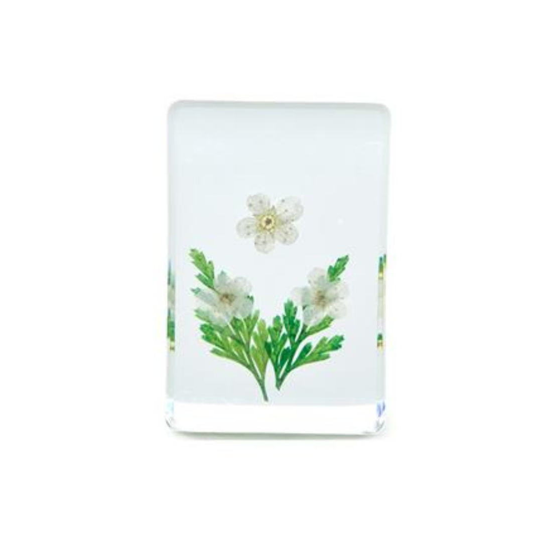 Wildflowers Pressed Floral Keepsake in Gift Box