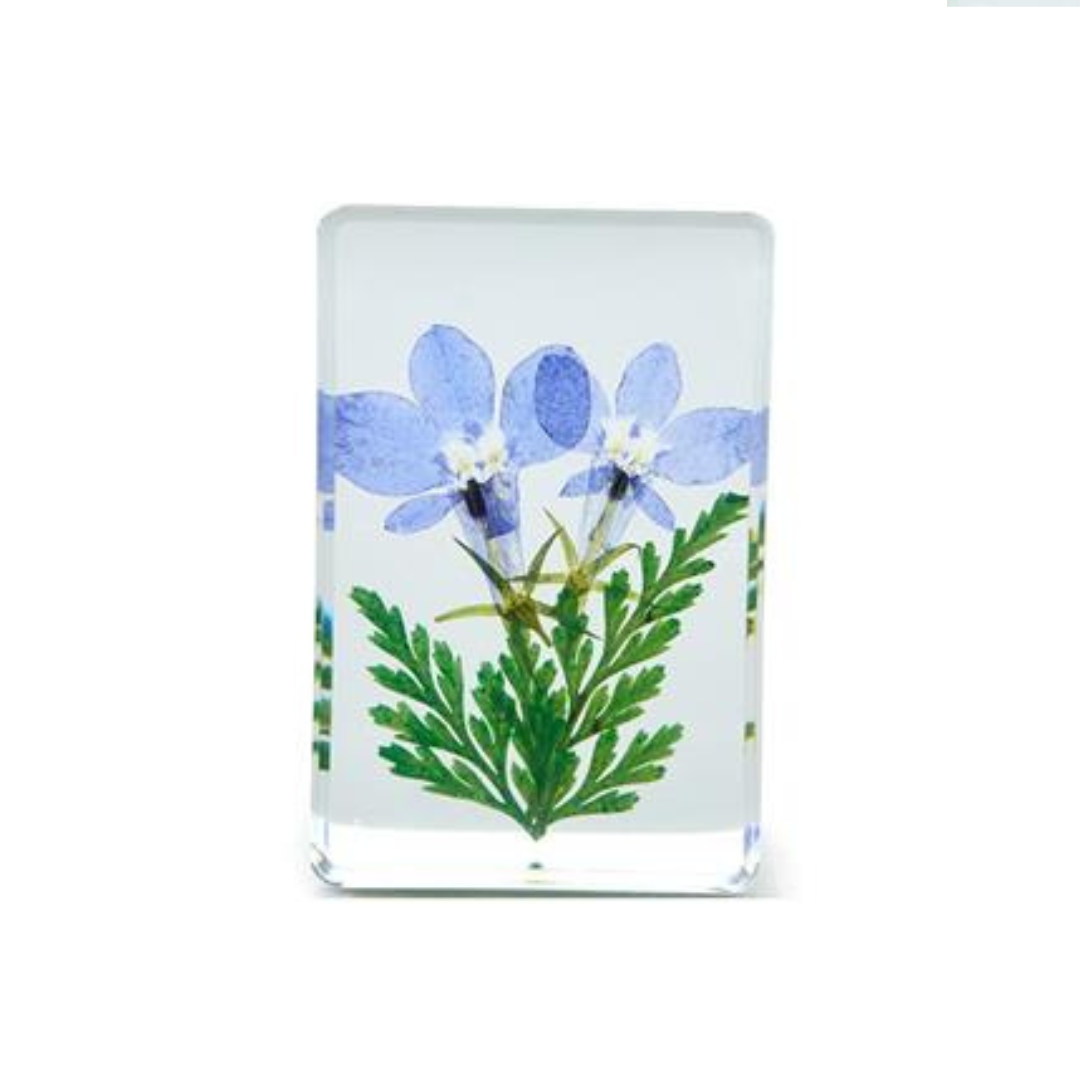 Wildflowers Pressed Floral Keepsake in Gift Box