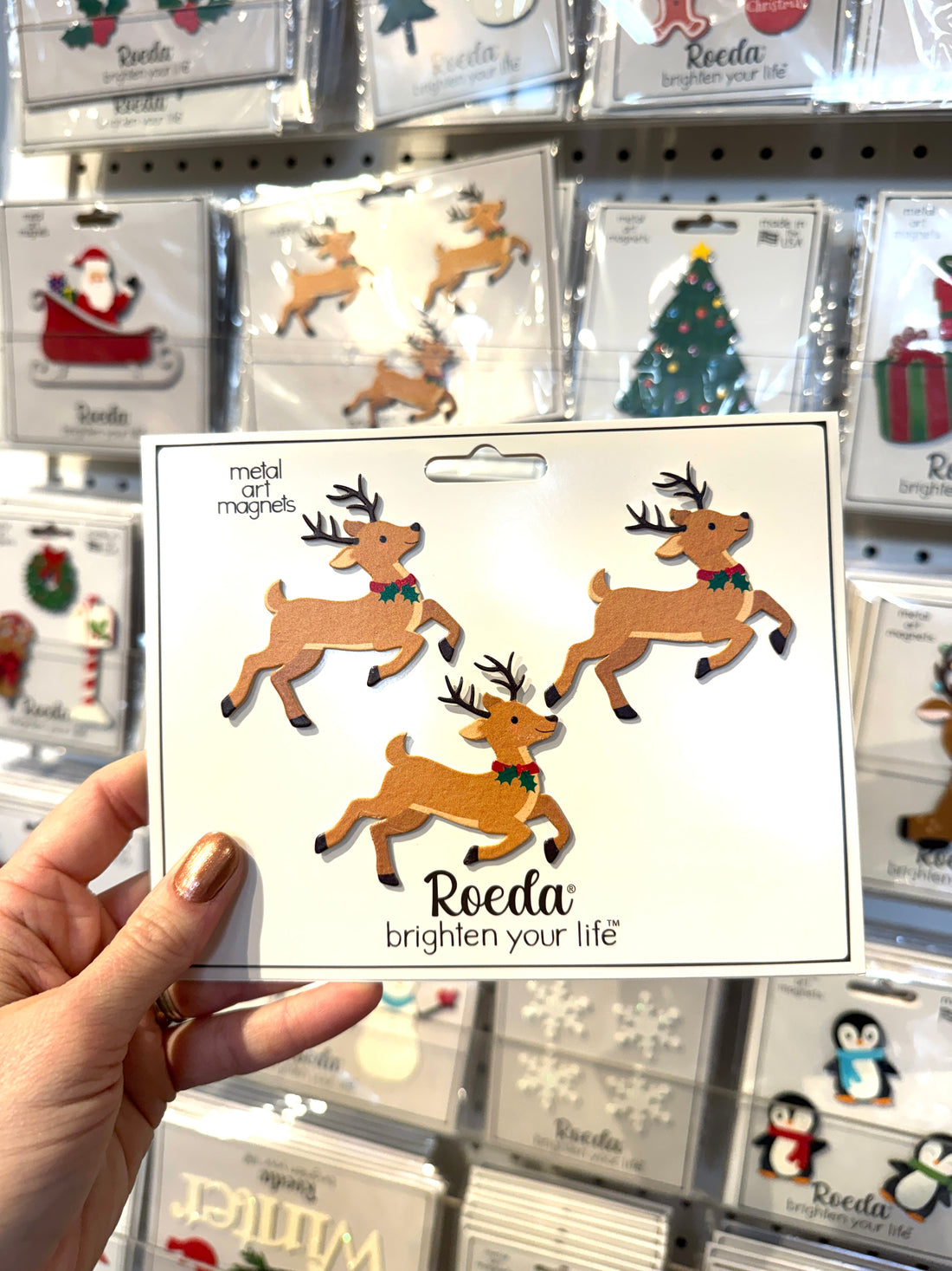 Reindeer Magnets S/3