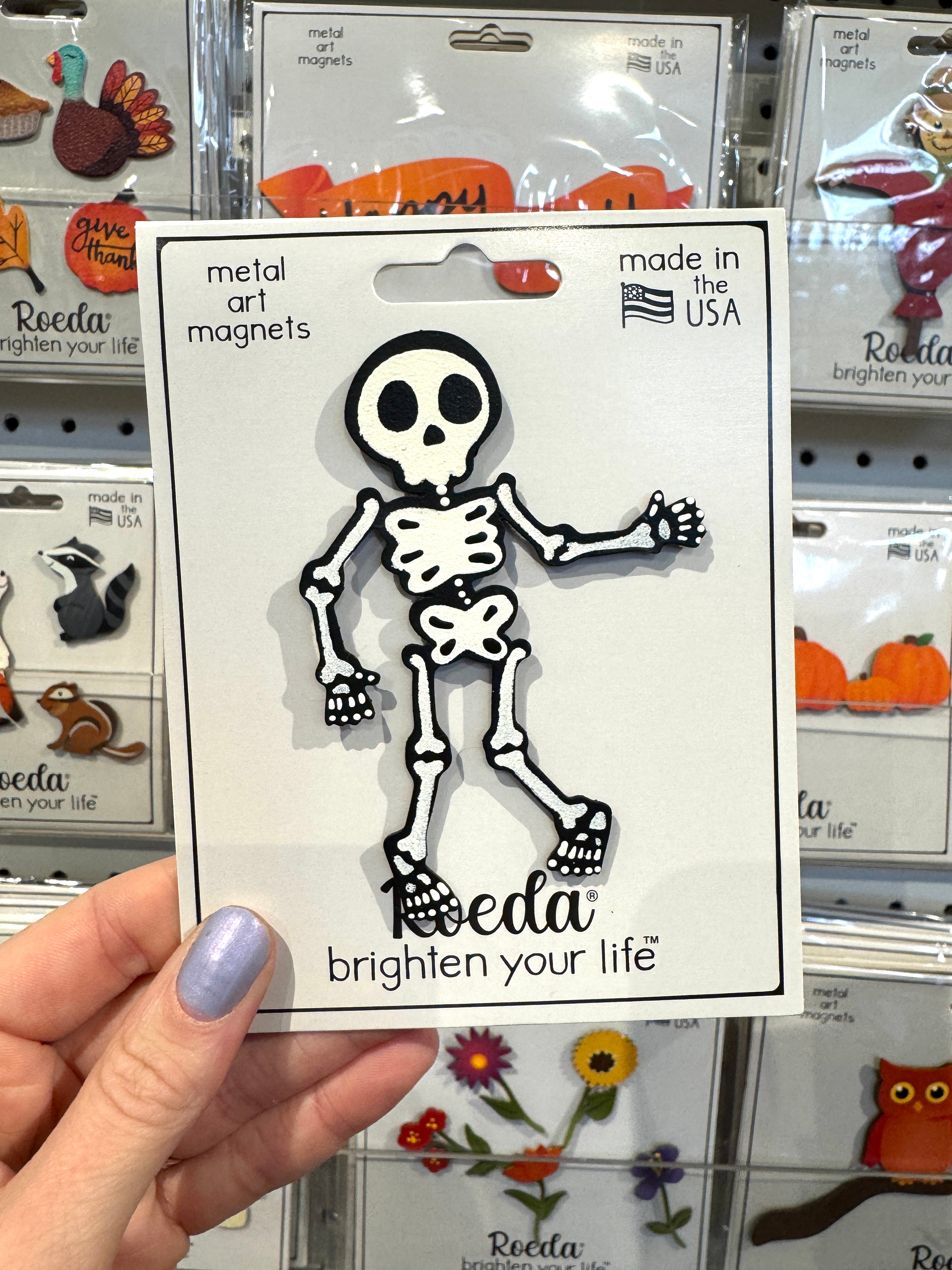 Skelett-Magnet