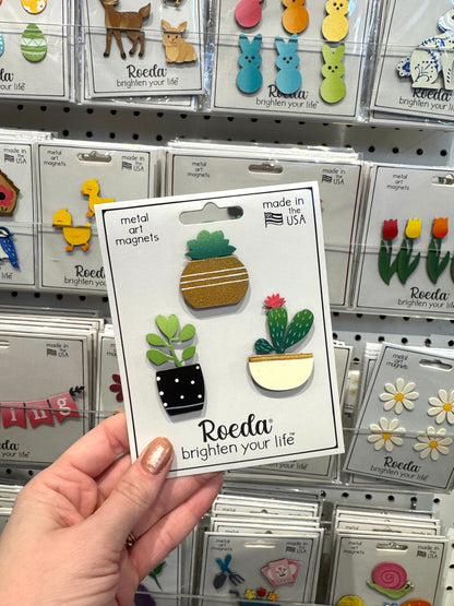 Succulent Magnets