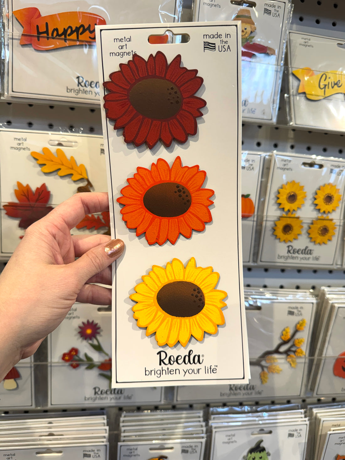 Sunflower Mini Art Pop Magnets S/3 (Multi)