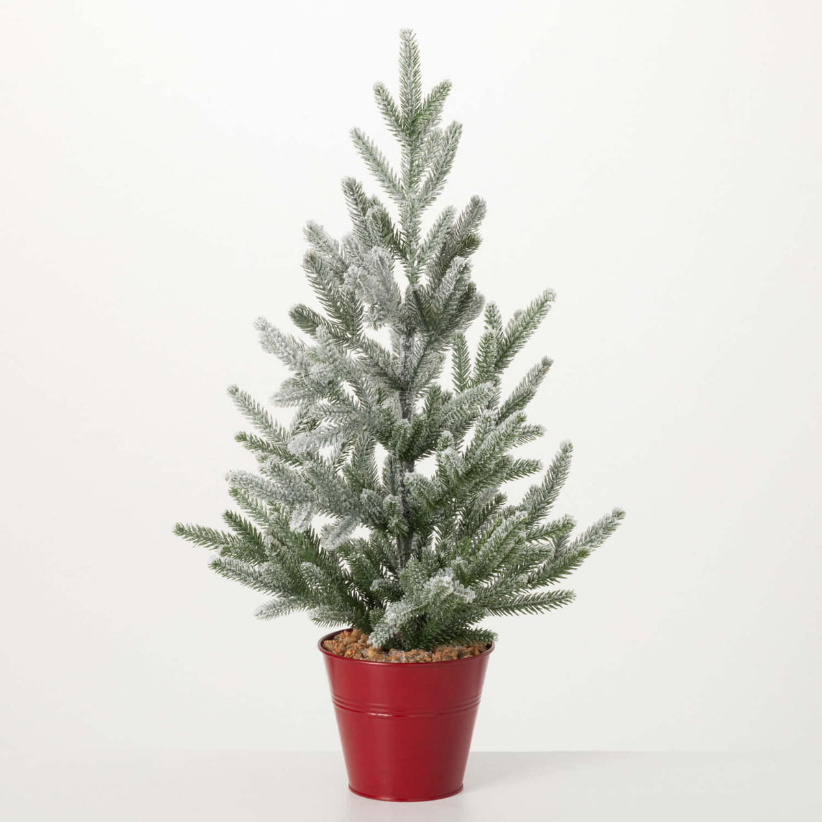 Immergrüner Kiefernbaum im Topf, 66 cm 