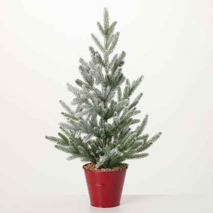 Immergrüner Kiefernbaum im Topf, 66 cm 