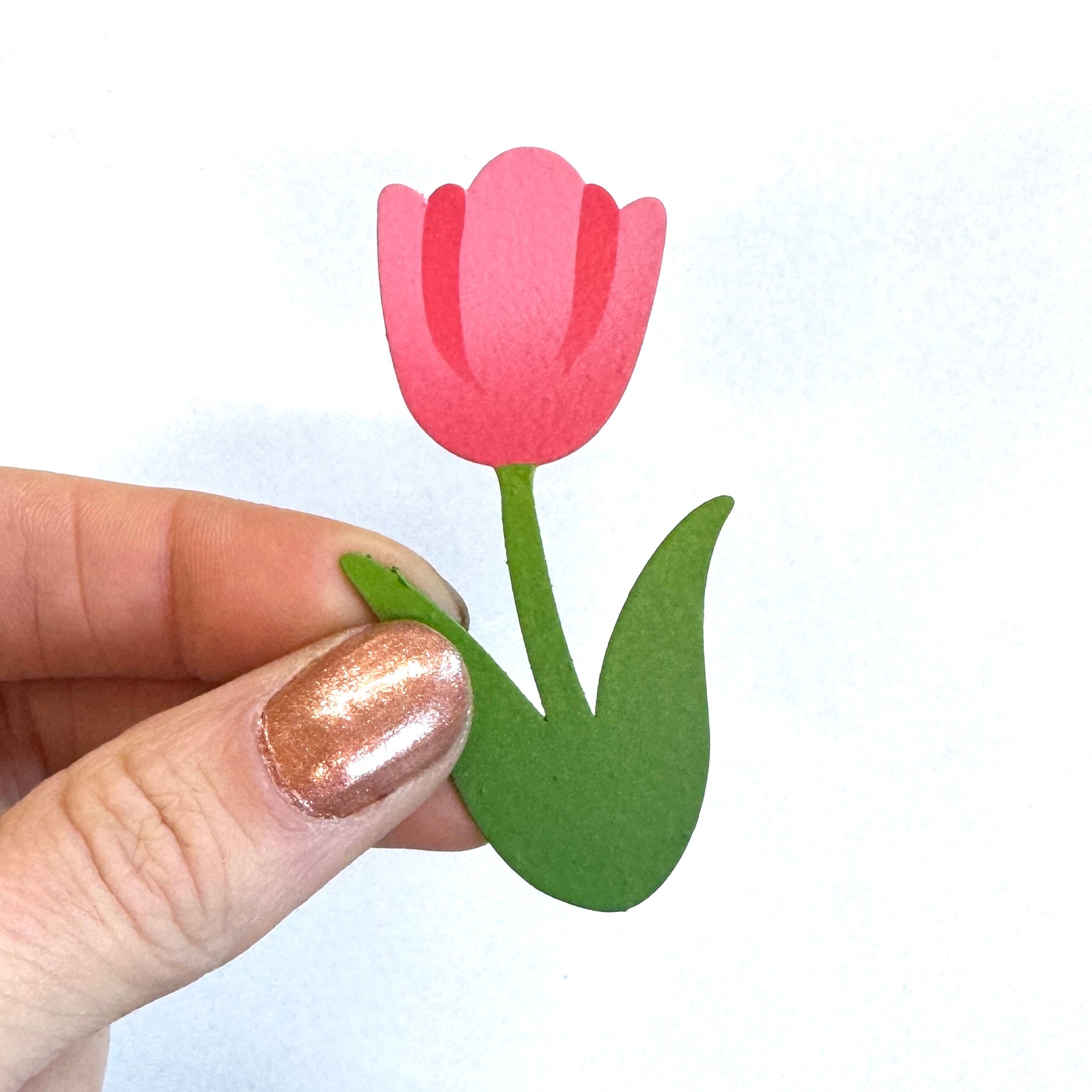 Tulip Magnet, Single