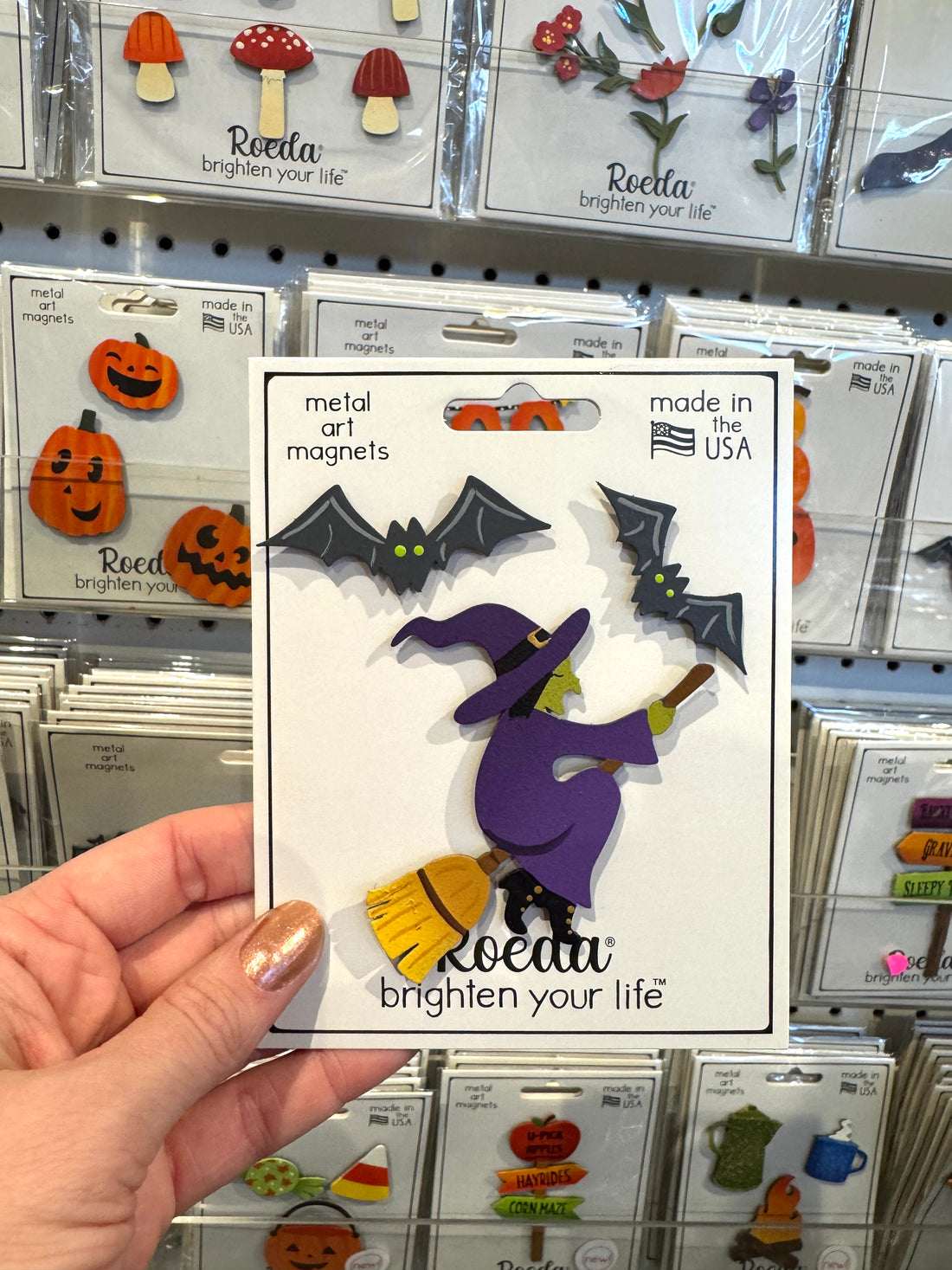 Witch w/ Bat Magnets S/3