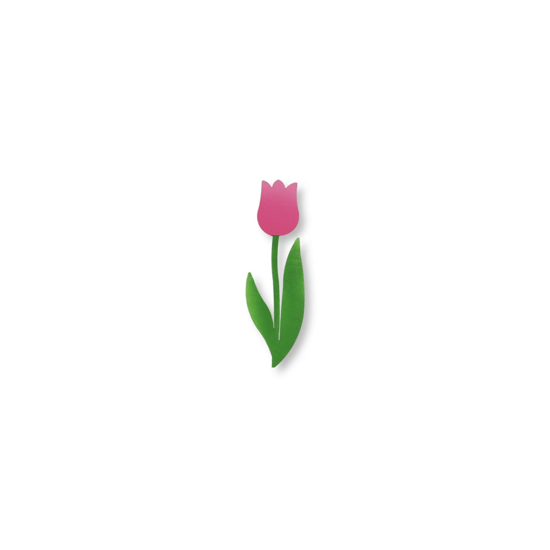 Tulip Magnet Pink