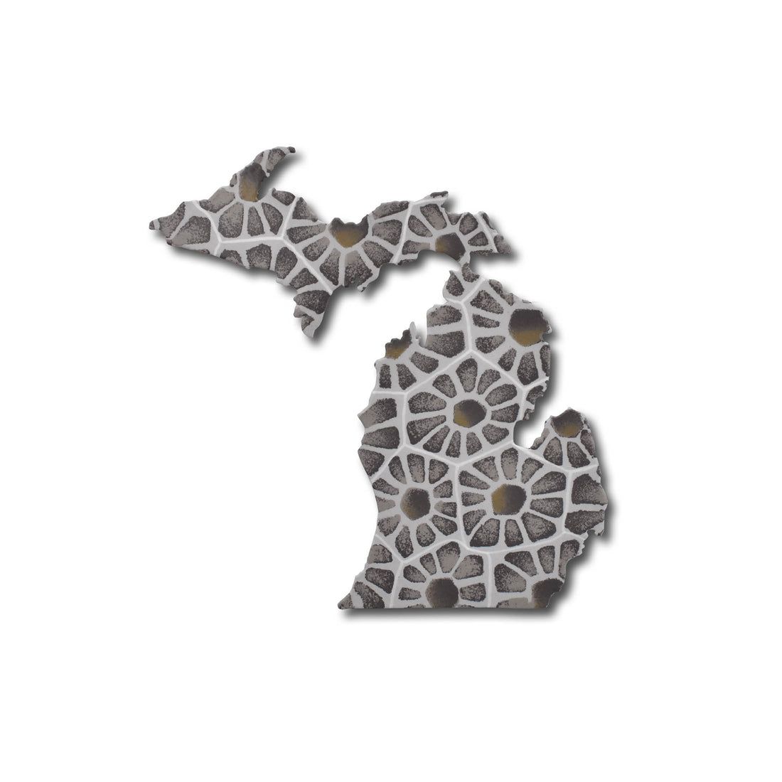 Michigan Petoskey Magnet