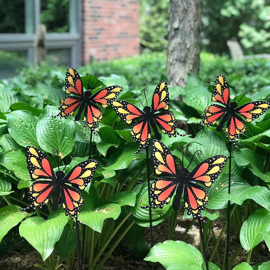 Schmetterlings-Art-Pop-Magnet