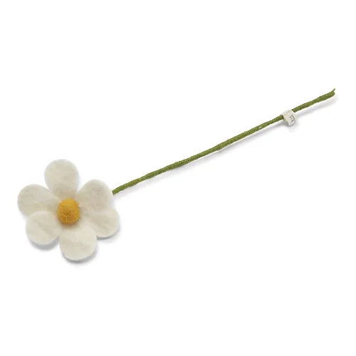 Filz-Gänseblümchen-Blume weiß