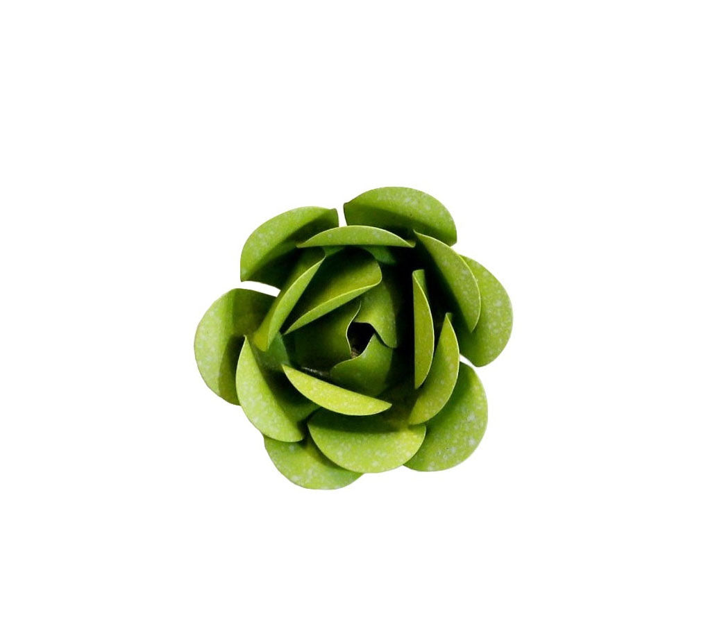 Rosebud Magnet Limette